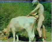 sex"Cowok
